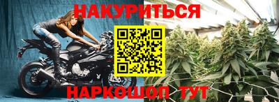 стафф Краснодар