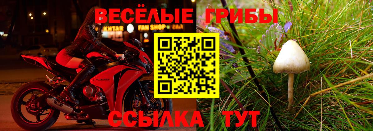 Вязники  Псилоцибиновые грибы мицелий  Вход с VPN 