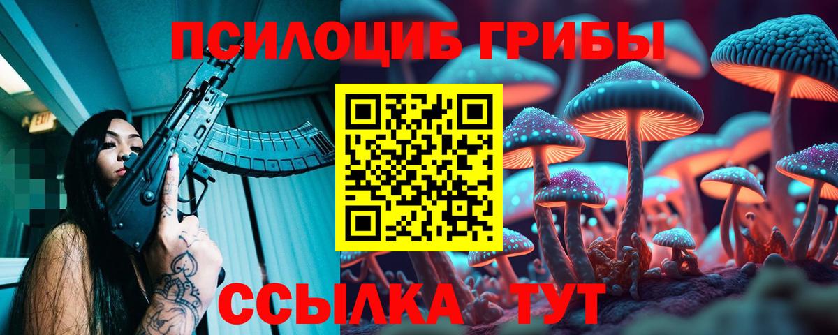 Псилоцибиновые грибы GOLDEN TEACHER Вязники